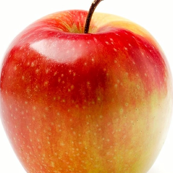Fuji Apple